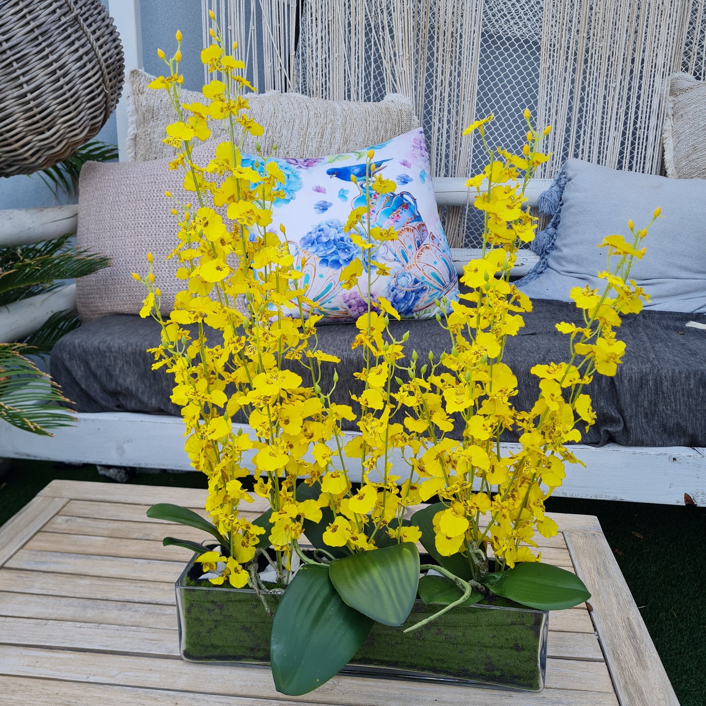 Spring blooms