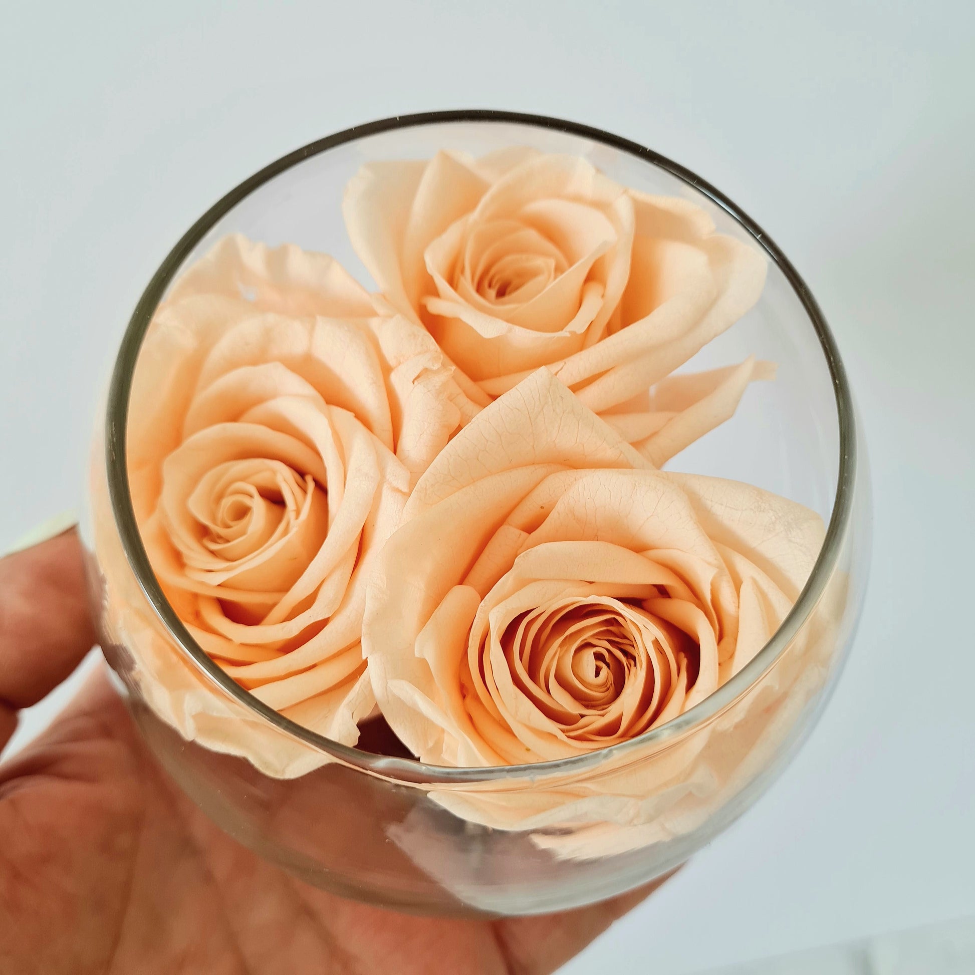 Preserved peach roses secured  with clear resin  in  glass round bowl.  Delivery available Perth suburbs or shipping  throughout  Australia.