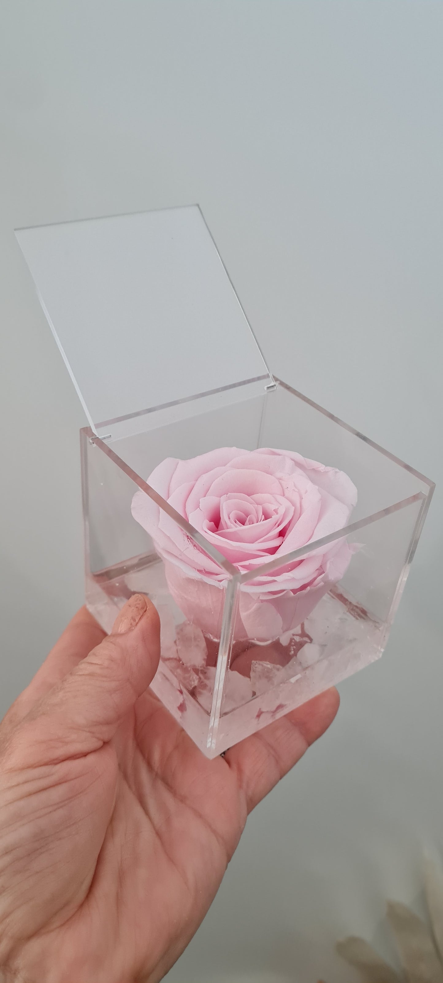 Preserved rose in  clear Perspex display box . Long lasting  preserved  pink rose 🌹 