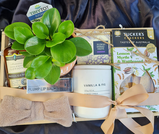 Gift box with an  easy care house potted plant and divine treats. Locally made treats. Same day delivery Perth WA